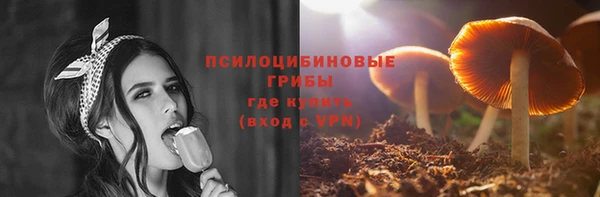 a pvp Алексин